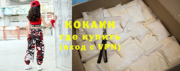 мдпв Михайлов