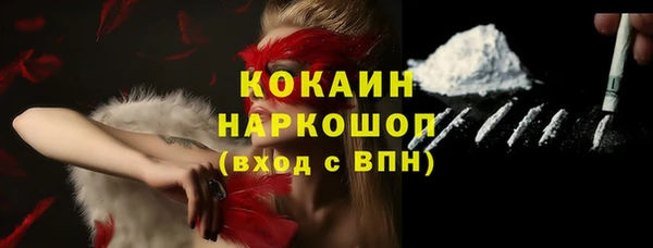 мдпв Михайлов