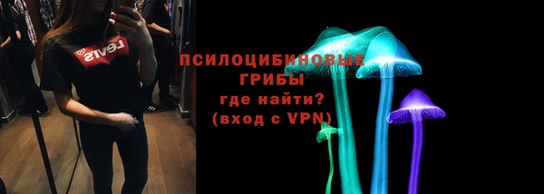 мдпв Михайлов