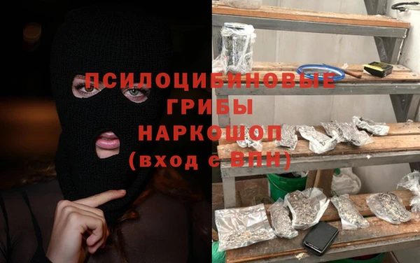 мдпв Михайлов