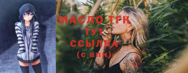 хмурый Михайловск