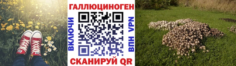Псилоцибиновые грибы MAGIC MUSHROOMS  маркетплейс официальный сайт  Топки 