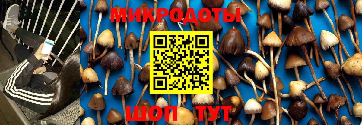 Топки  Галлюциногенные грибы мухоморы  где найти   Вход с VPN 