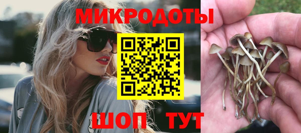 Галлюциногенные грибы Magic Shrooms Топки